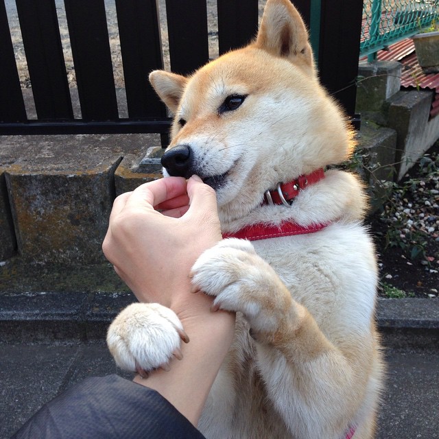 滑行距离变化：美选手平均增加0.15米，滑行距离公式