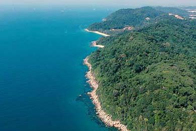 塞尔维亚女篮在欧洲锦标赛中全力拼搏，享受荣誉时刻，塞尔维亚女篮球